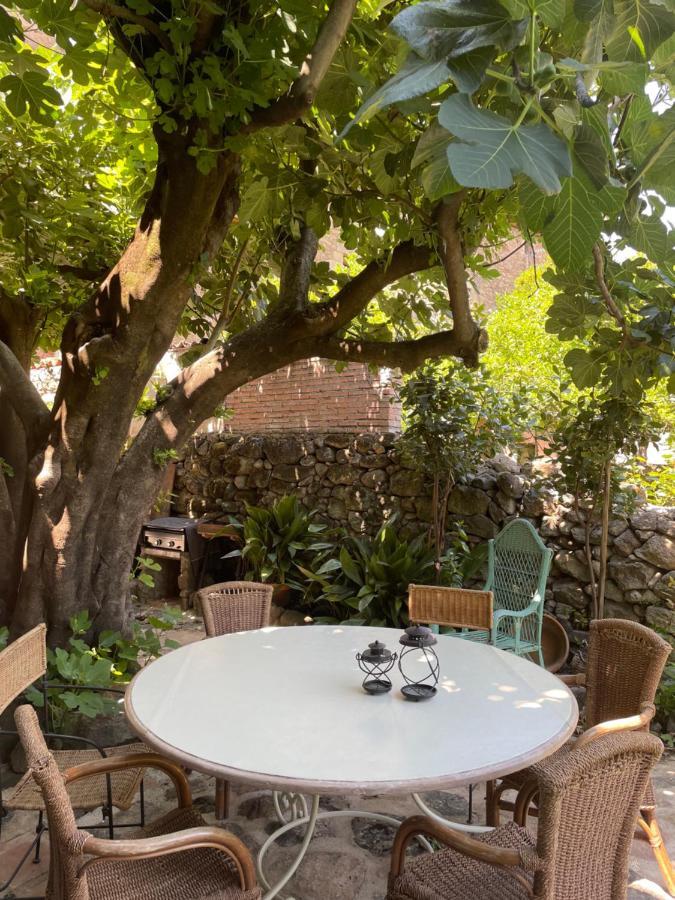 Terracea Villa Hoyos Dış mekan fotoğraf