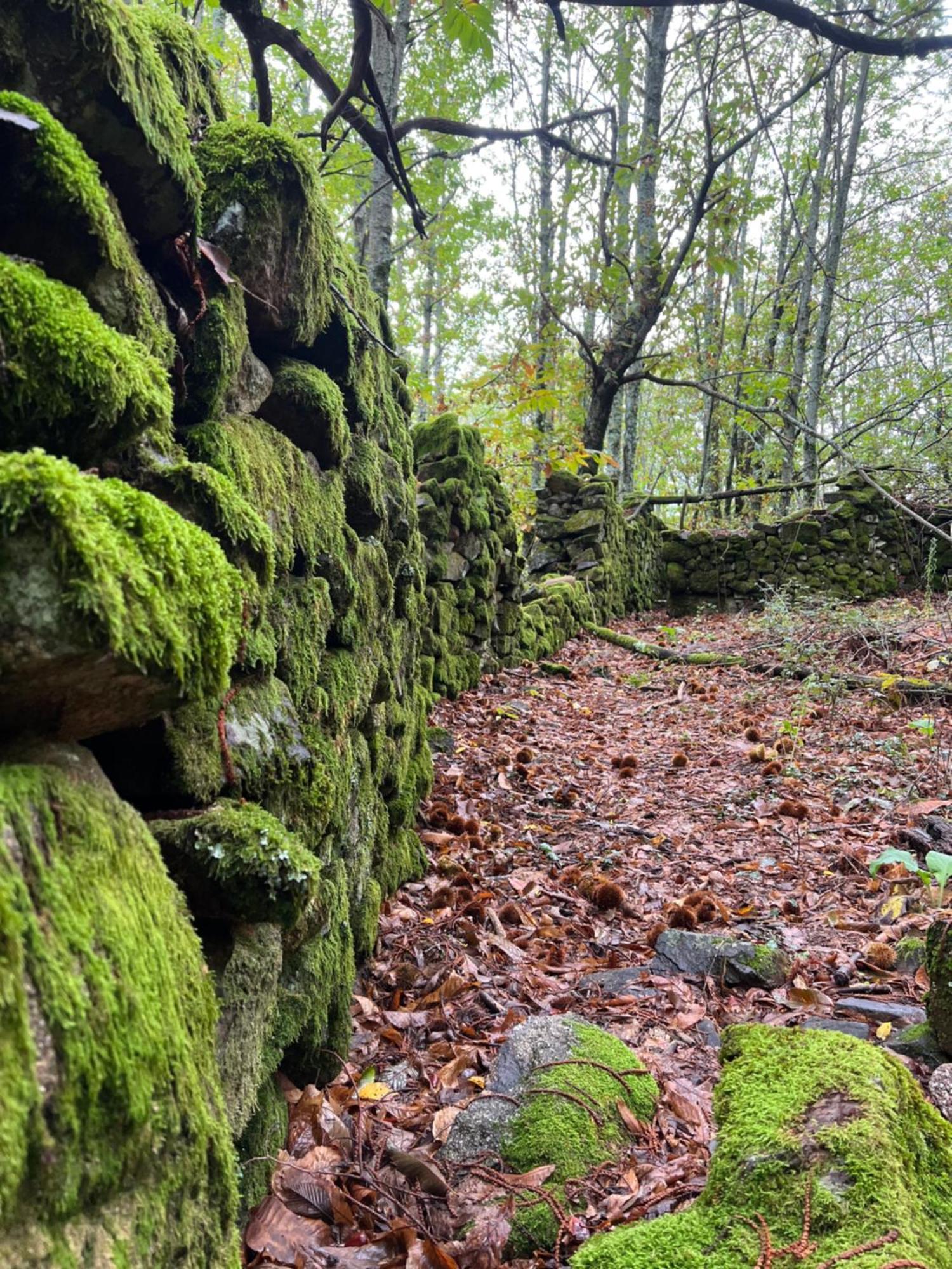 Terracea Villa Hoyos Dış mekan fotoğraf
